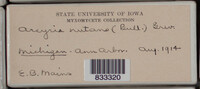 Image Associated With the Occurence